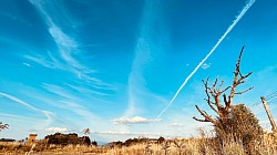 空 青空 ファインダー越しの私の世界 スマホカメラ部 白い雲 写真 風景