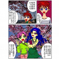 旅人タビトのいぶ好き日記 桜 河津桜 早咲き オリジナル漫画 漫画 フルカラー 鹿児島漫画