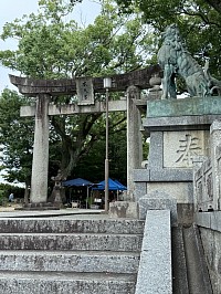 久留米 水天宮 神社巡り スマホ撮影 ブログ 旅の記録