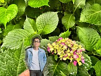 アクスタフミヤくんと、梅雨時期のお約束。近所の咲き始めの紫陽花。