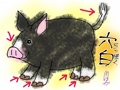 ファンクラブの日記に載せた、六白説明イラストがこちら。揺れる電車の中で描いたので線がガタガタ💦もちろんスマホ指描きです。