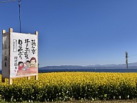 本文とは全く関係ありませんが、今、指宿は菜の花が見頃！こうした街の光景も動画編集して紹介できると面白いかもしれませんね。色々試してみたい。