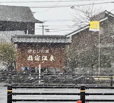 横殴りの吹雪❗️最悪なタイミングで、この日は指宿菜の花マーチが開催されていた。1月の菜の花マラソンも冷たい雨に見舞われたし、参加された皆さん、寒かったろうな…